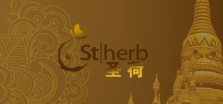 中聯(lián)星空最新簽約項(xiàng)目:泰國(guó)圣荷豐胸美體養(yǎng)生會(huì)